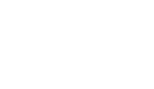 ds-logo-large.png