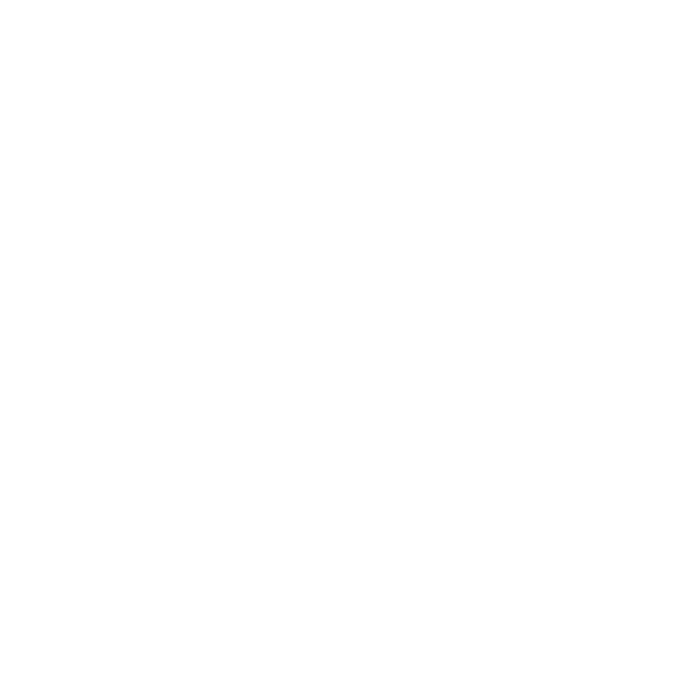 logo-white-padded-carpe-diem.png