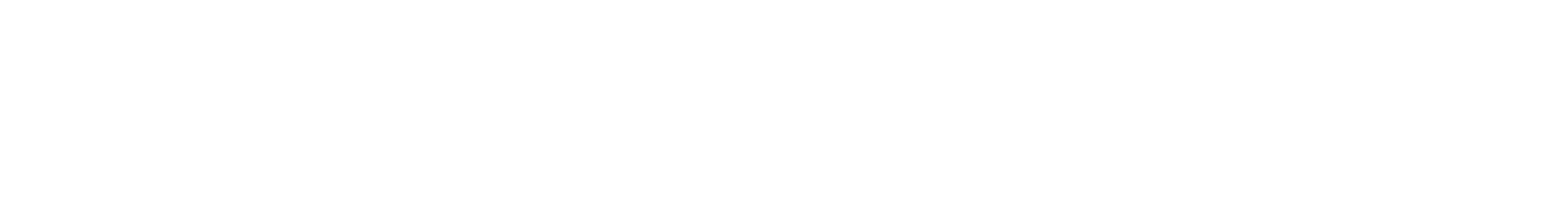 logo-leser--white.png