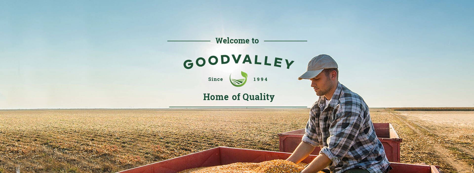 case-goodvalley.jpg