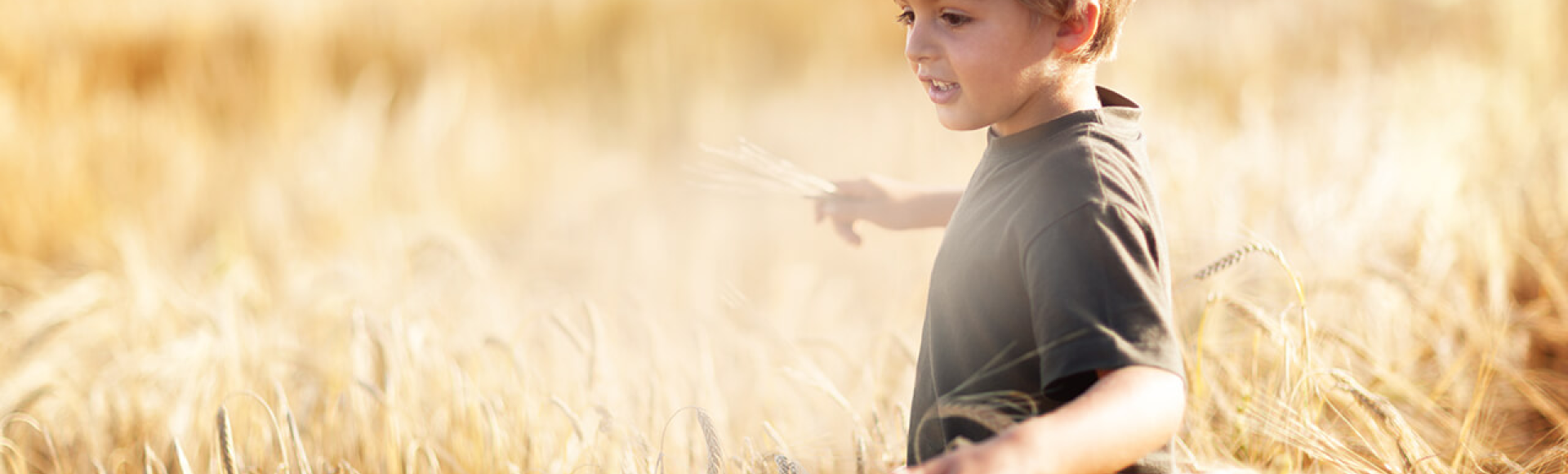 Good Valley Banner 2
