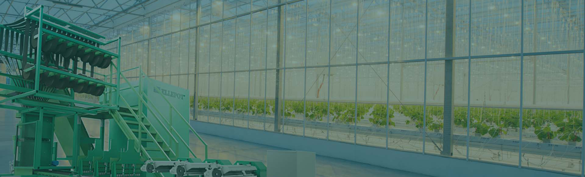 Ellepot Banner 2